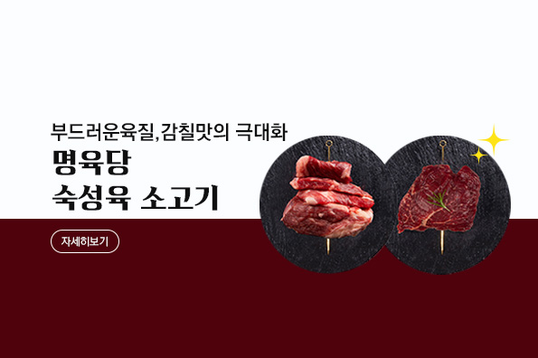 메인비주얼 이미지