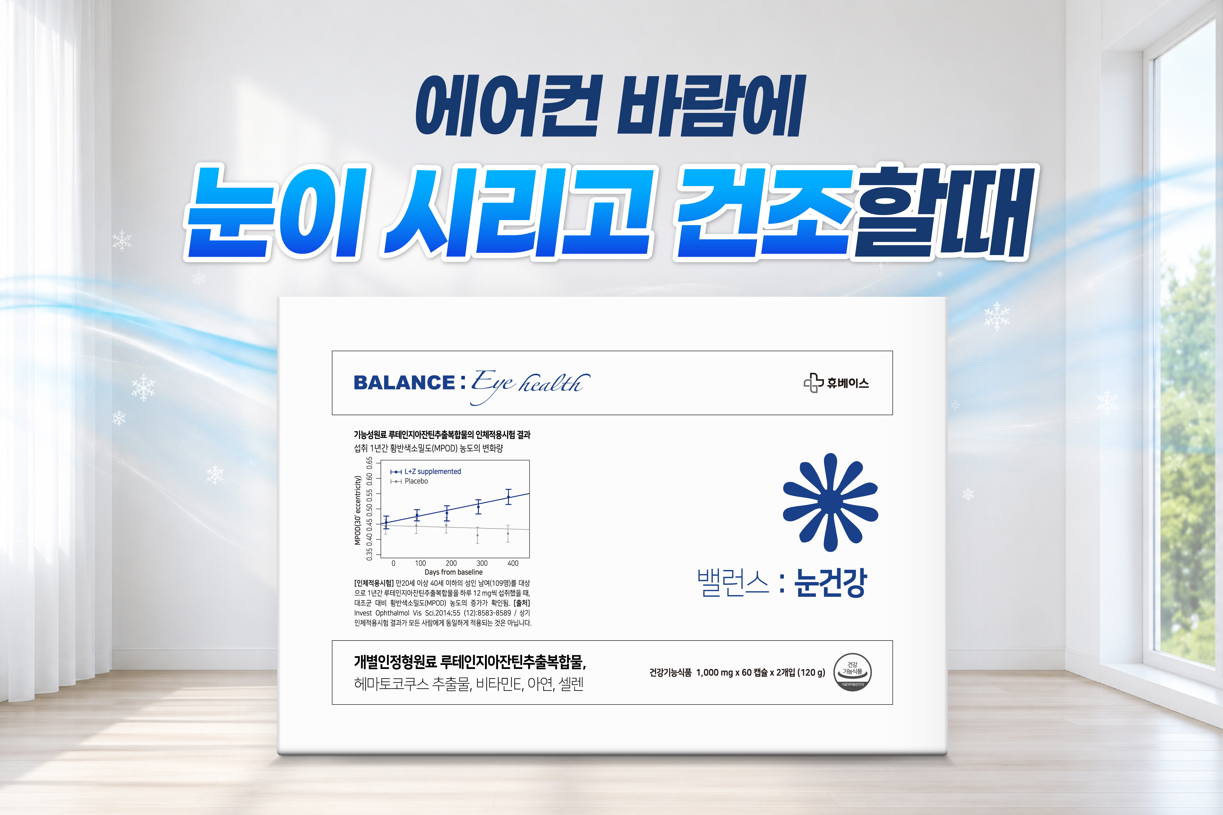 메인비주얼 이미지