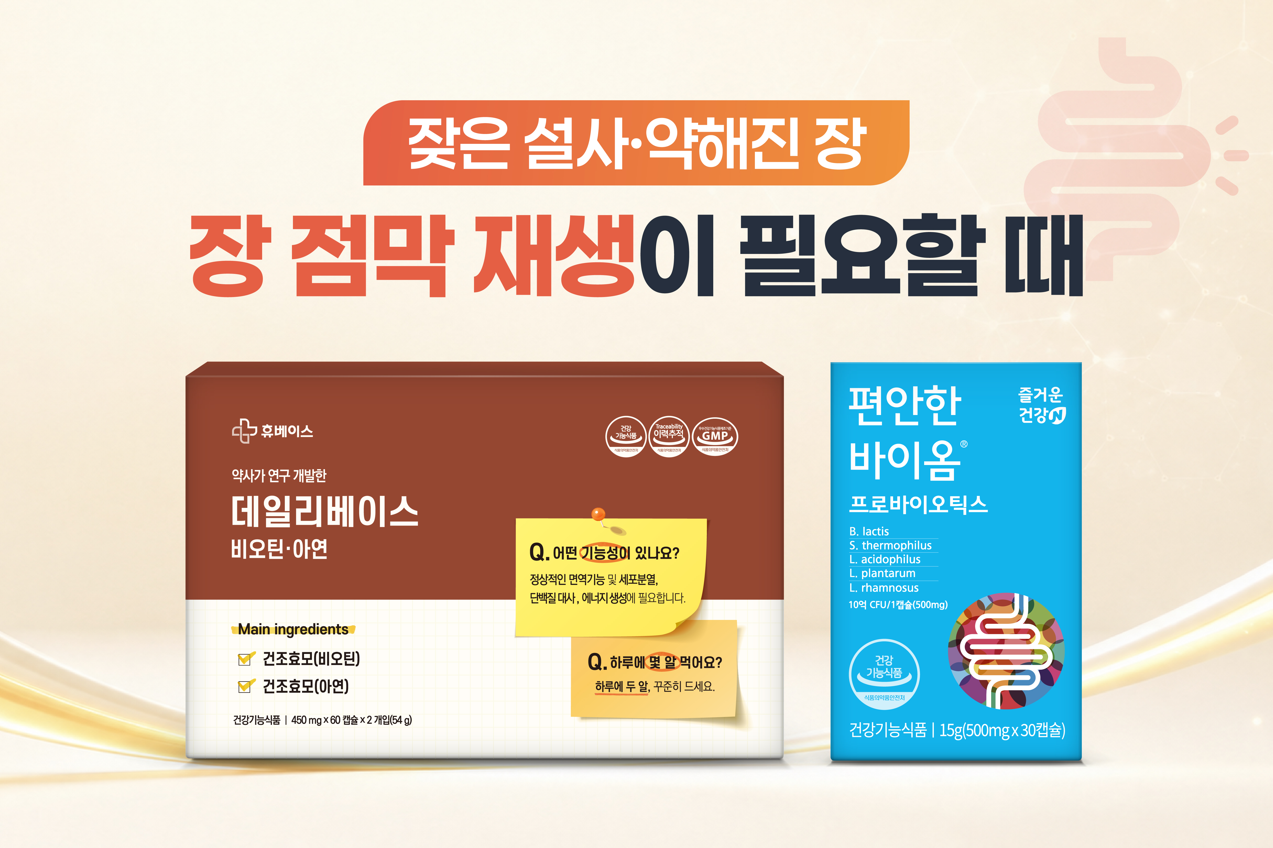 메인비주얼 이미지
