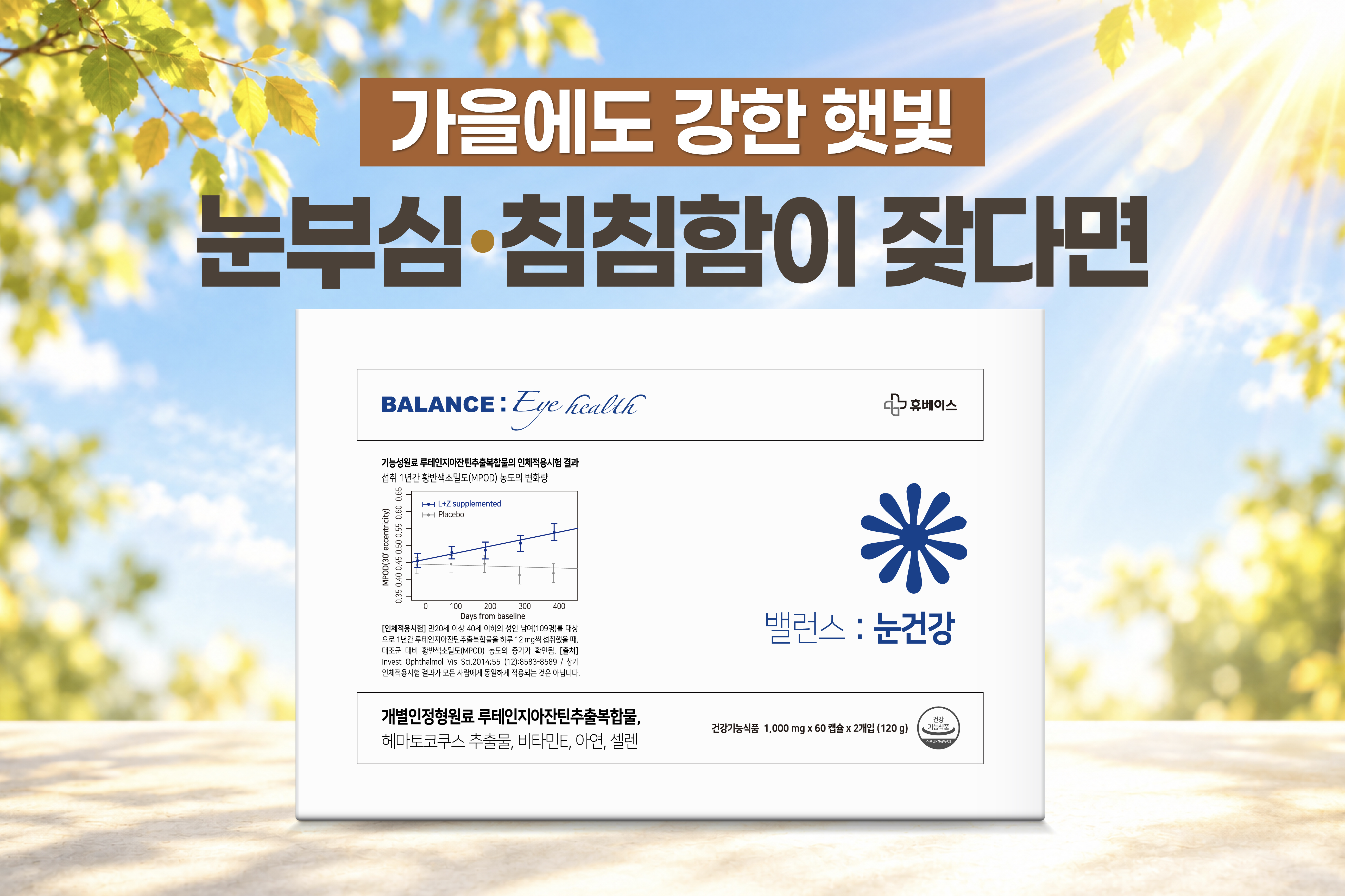 메인비주얼 이미지