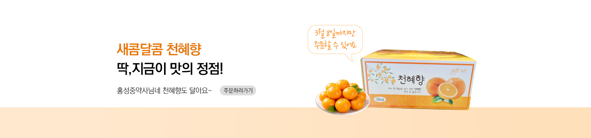 메인비주얼 이미지