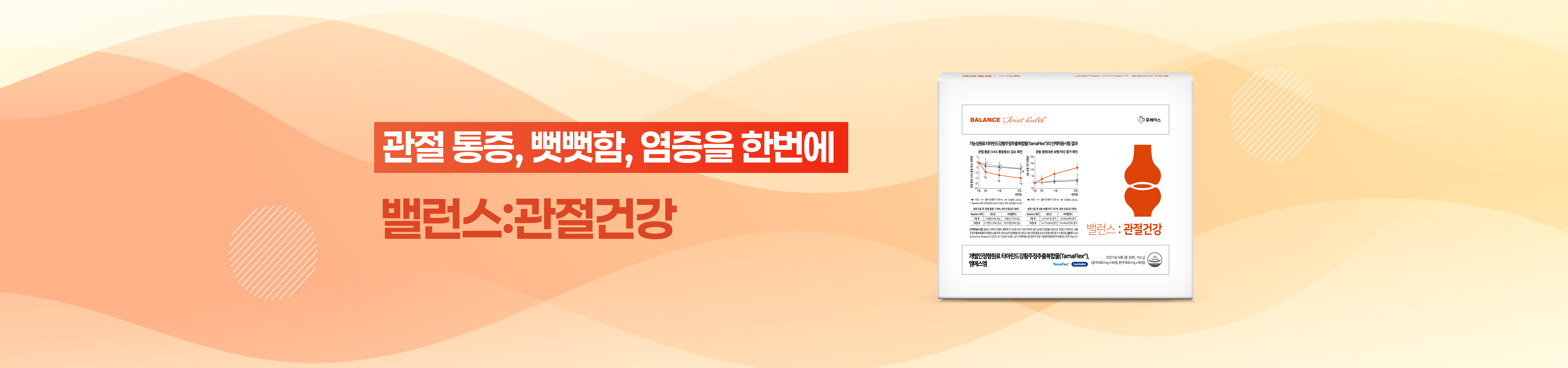 메인비주얼 이미지