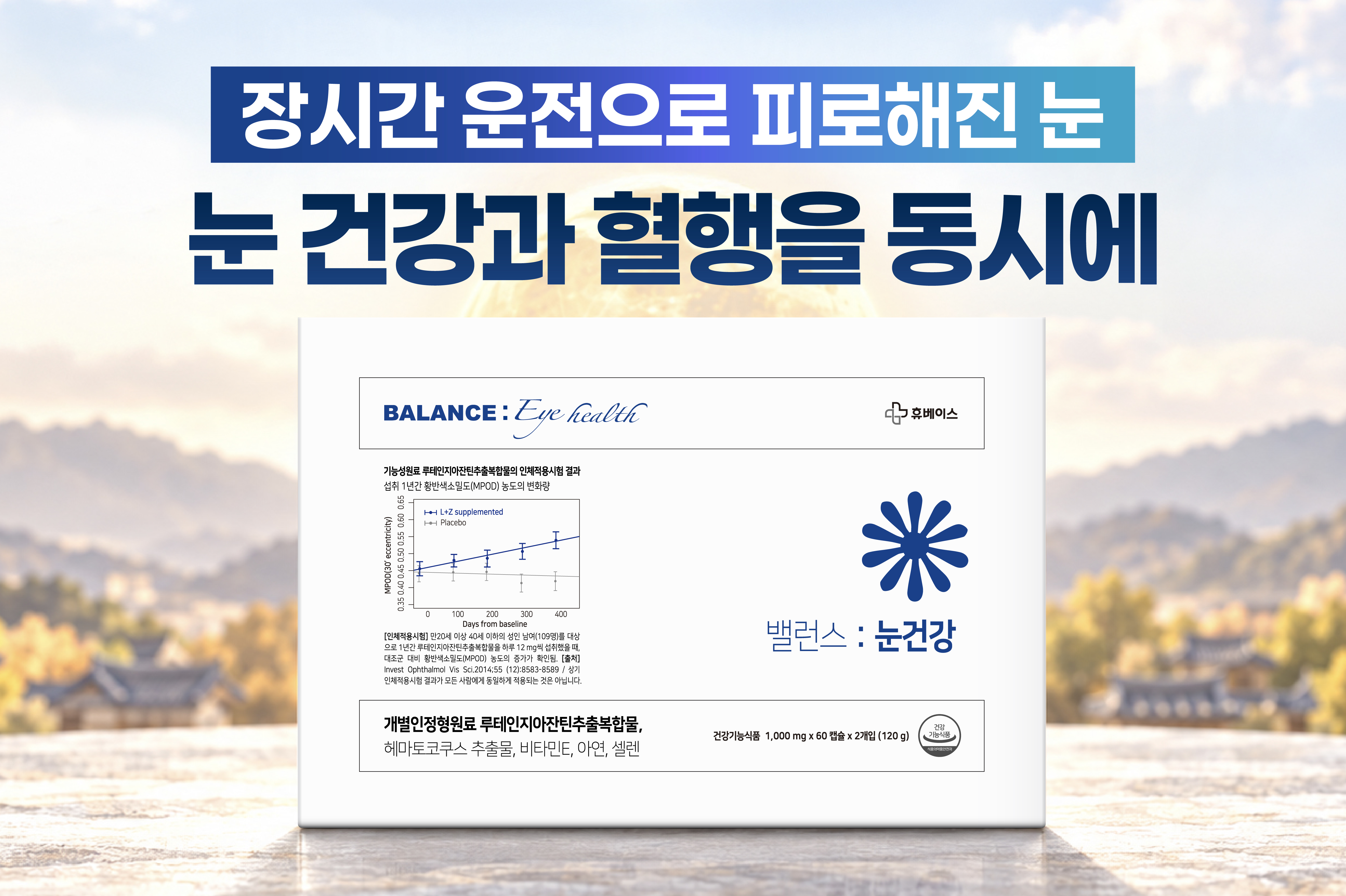 메인비주얼 이미지