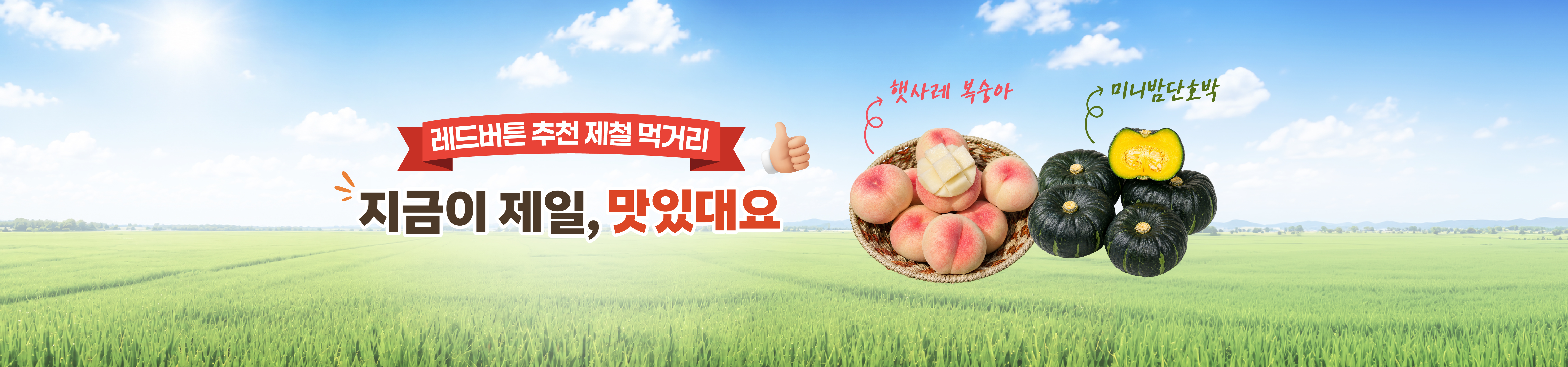 메인비주얼 이미지