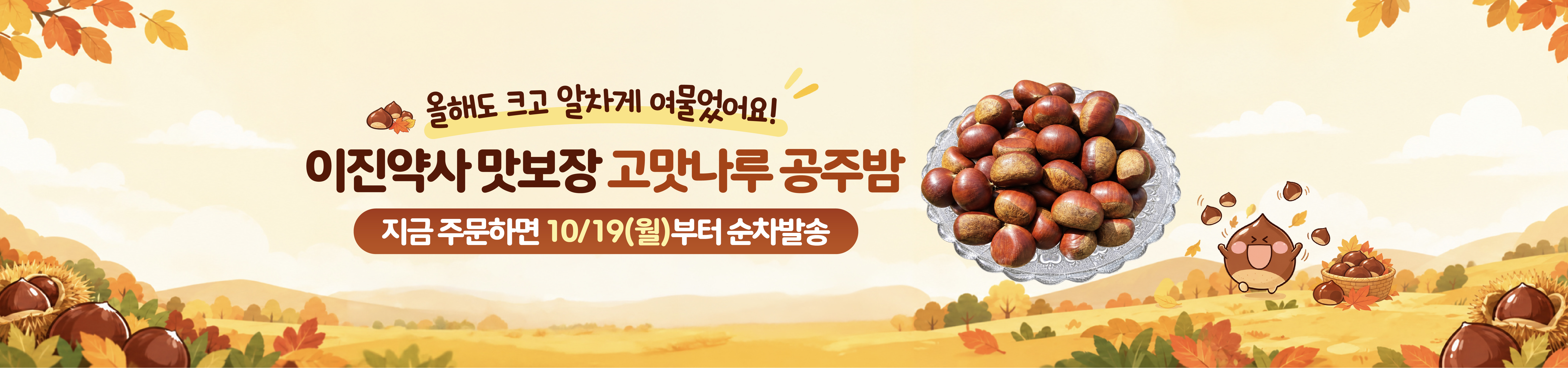 메인비주얼 이미지