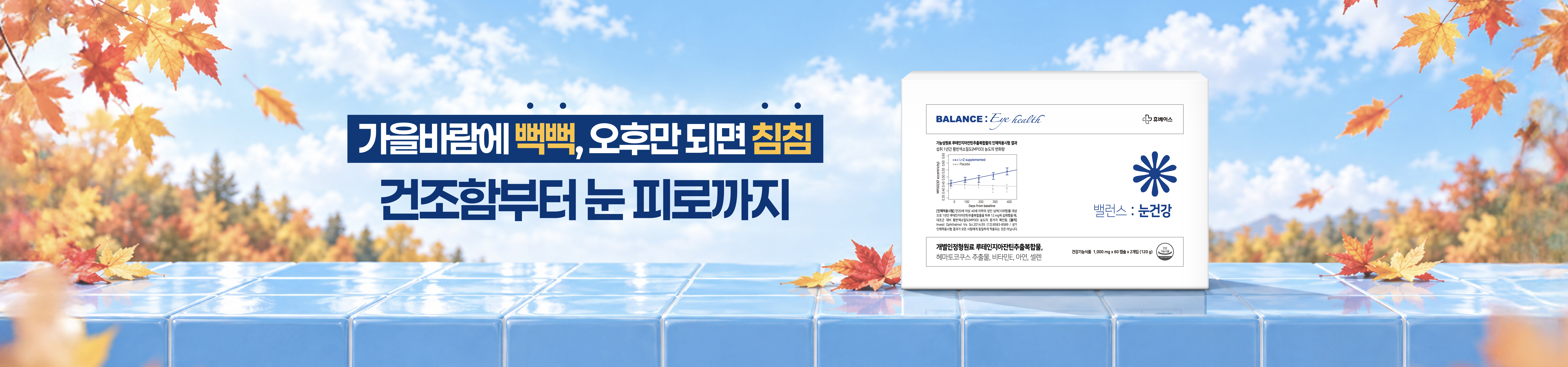메인비주얼 이미지