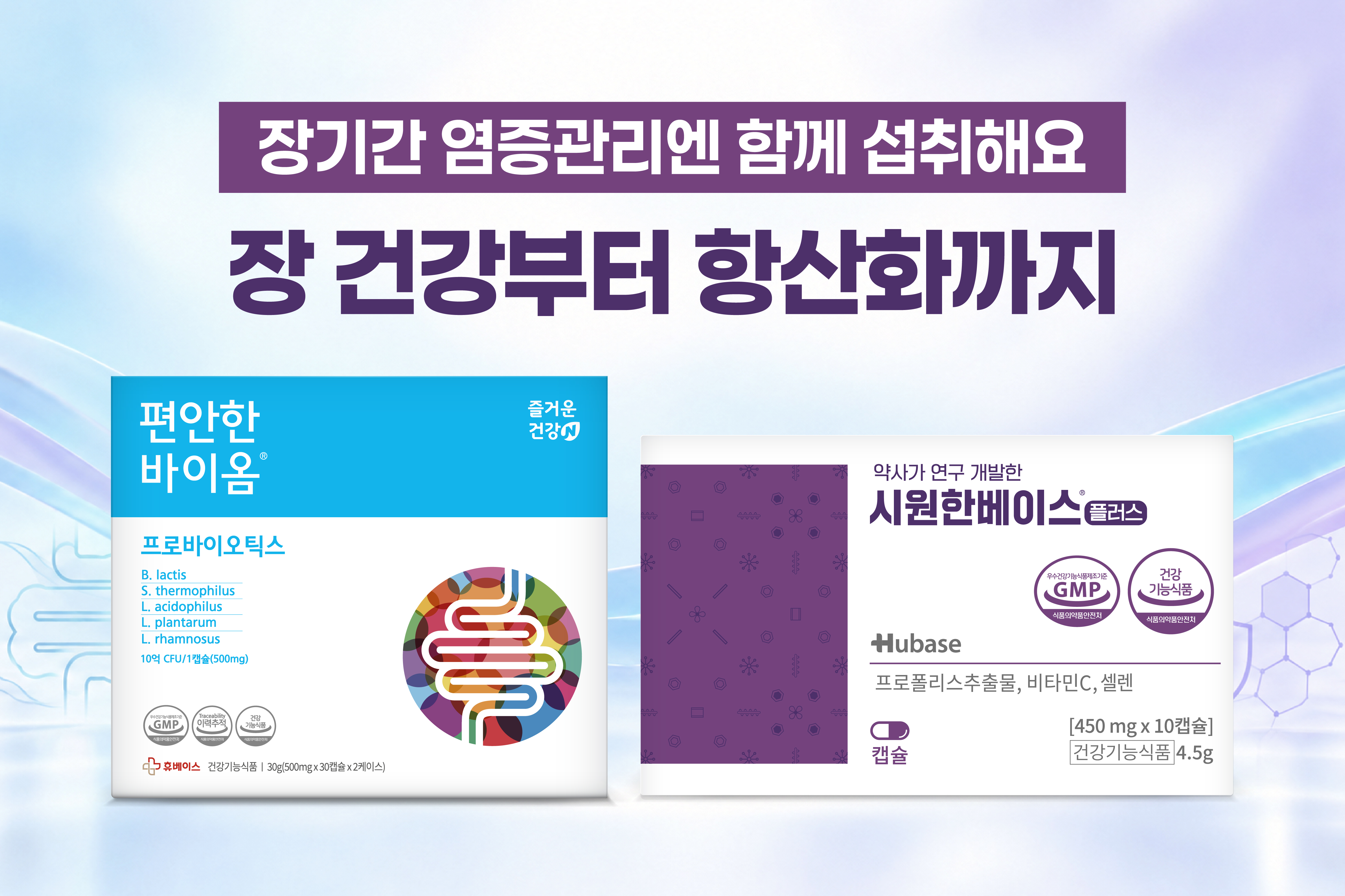 메인비주얼 이미지