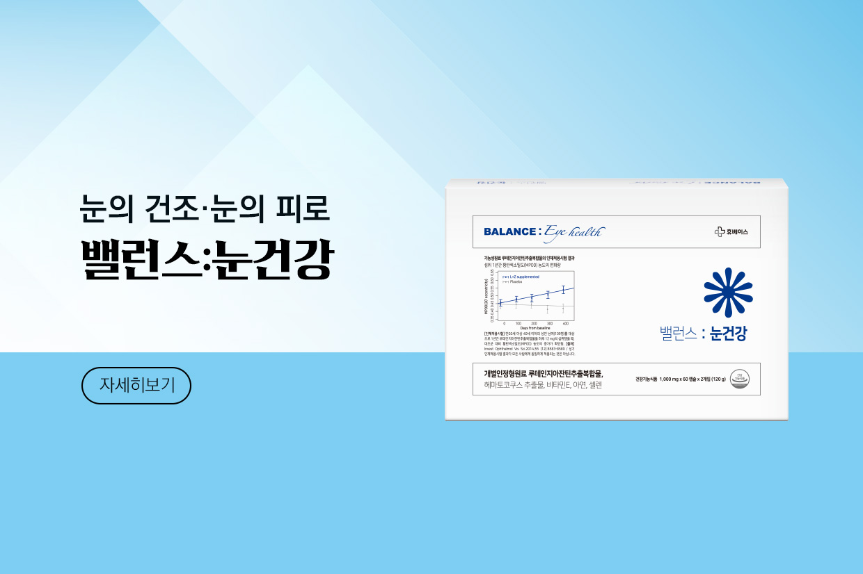 메인비주얼 이미지