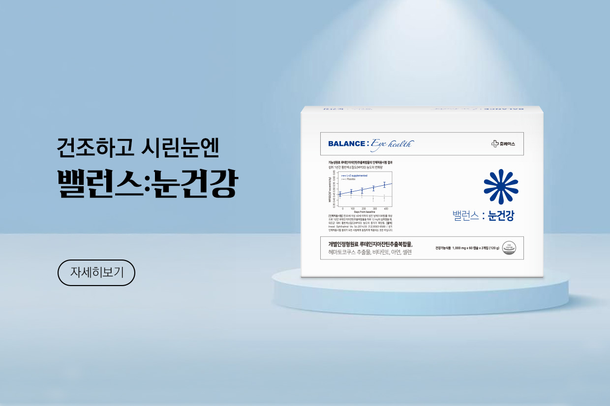 메인비주얼 이미지