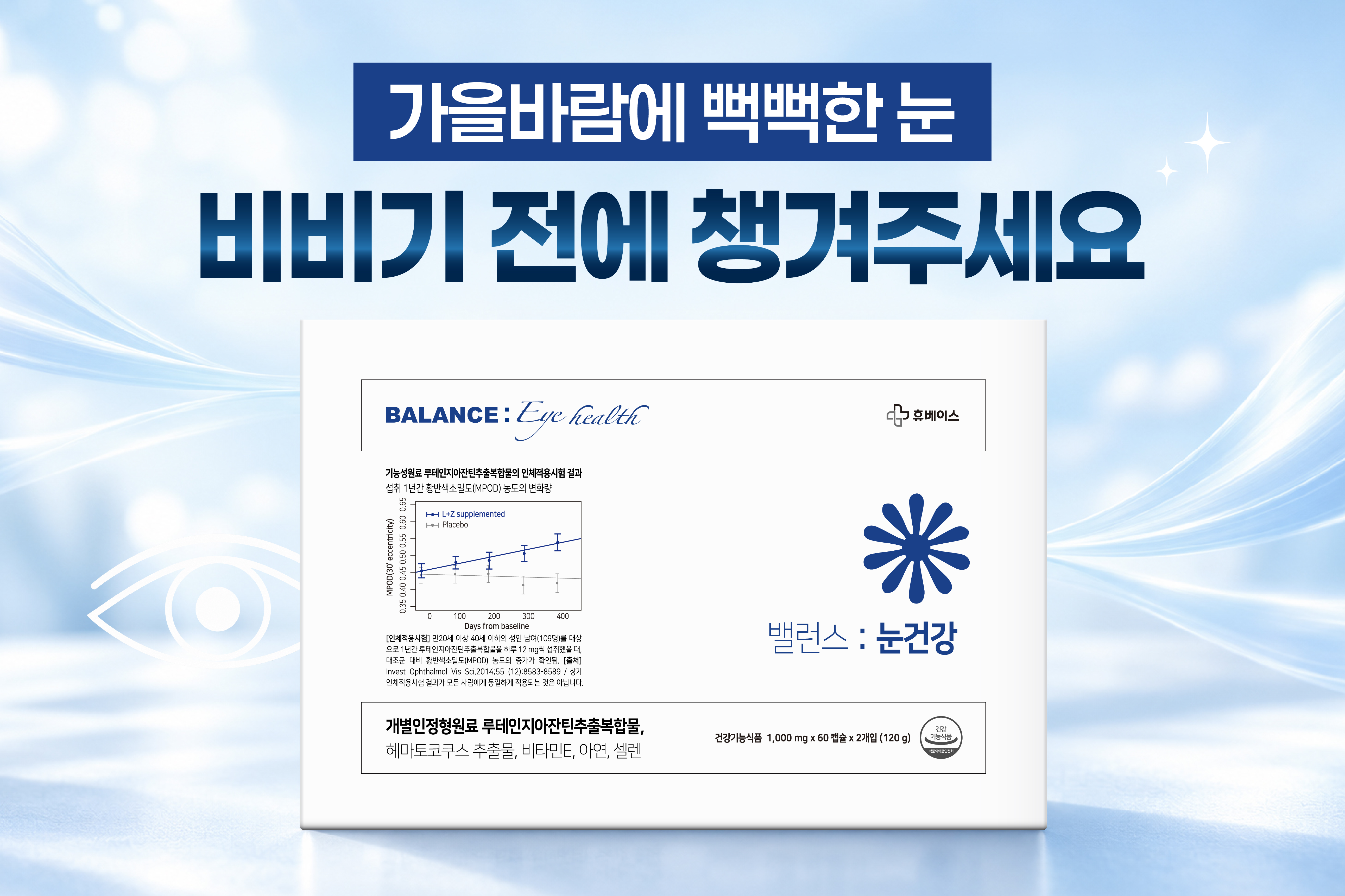 메인비주얼 이미지
