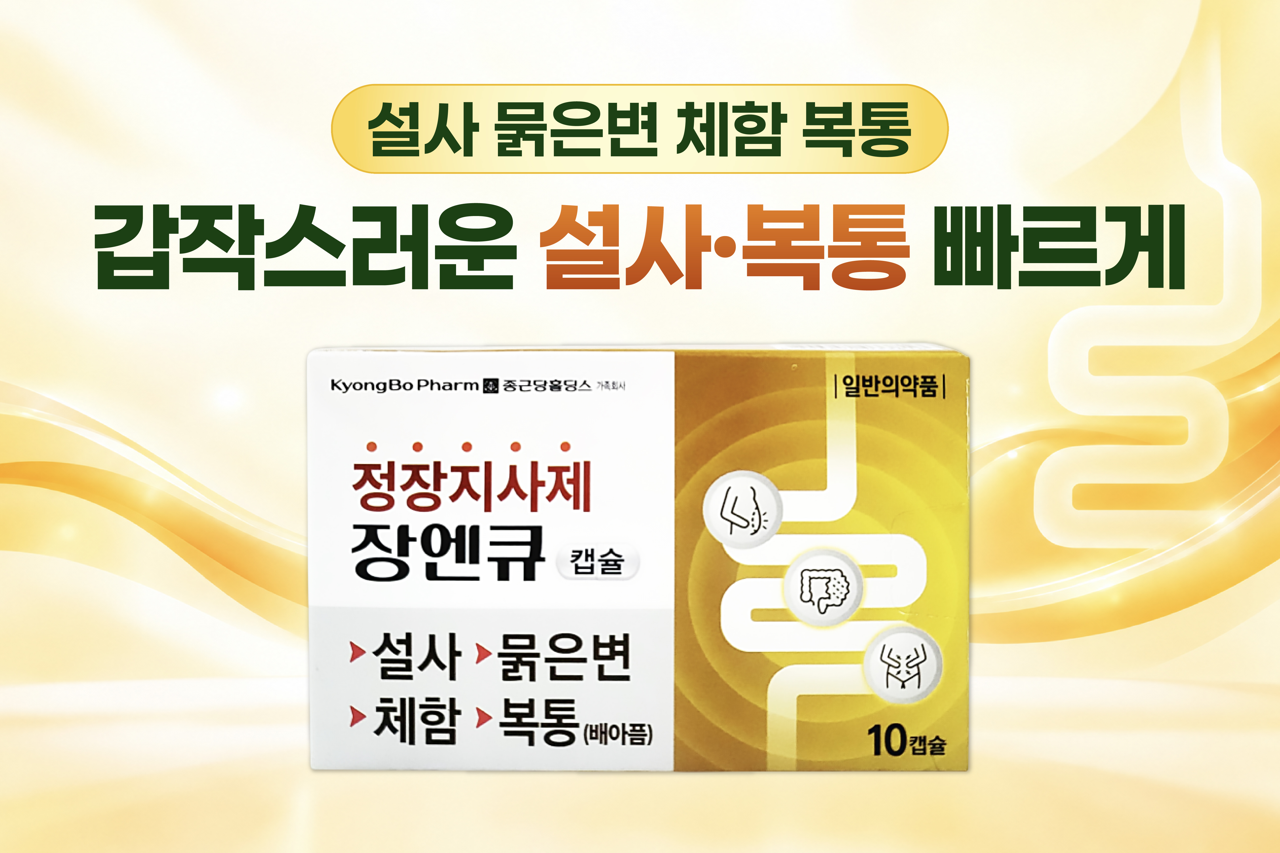 메인비주얼 이미지