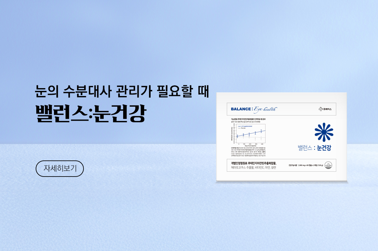 메인비주얼 이미지