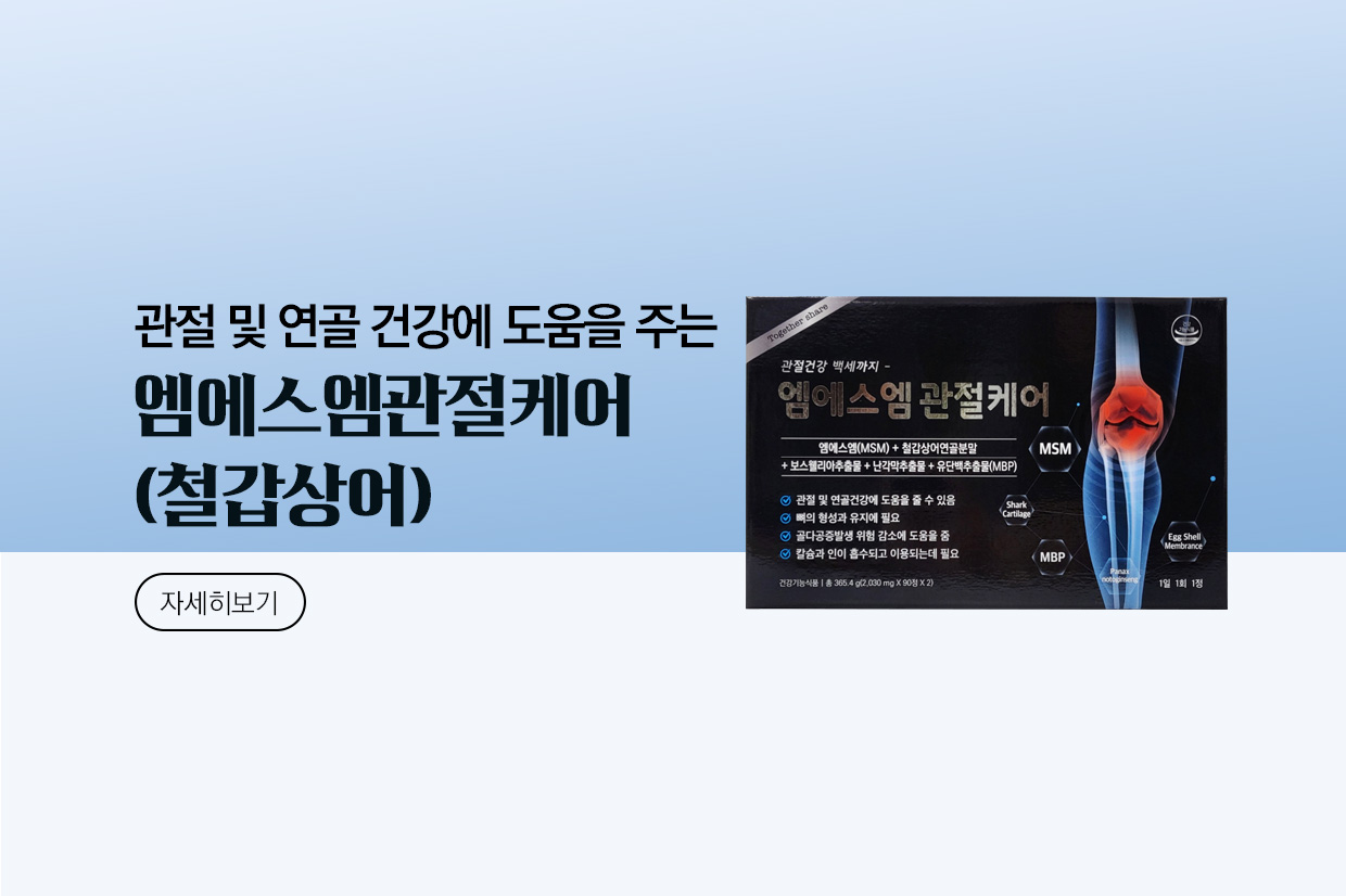 메인비주얼 이미지