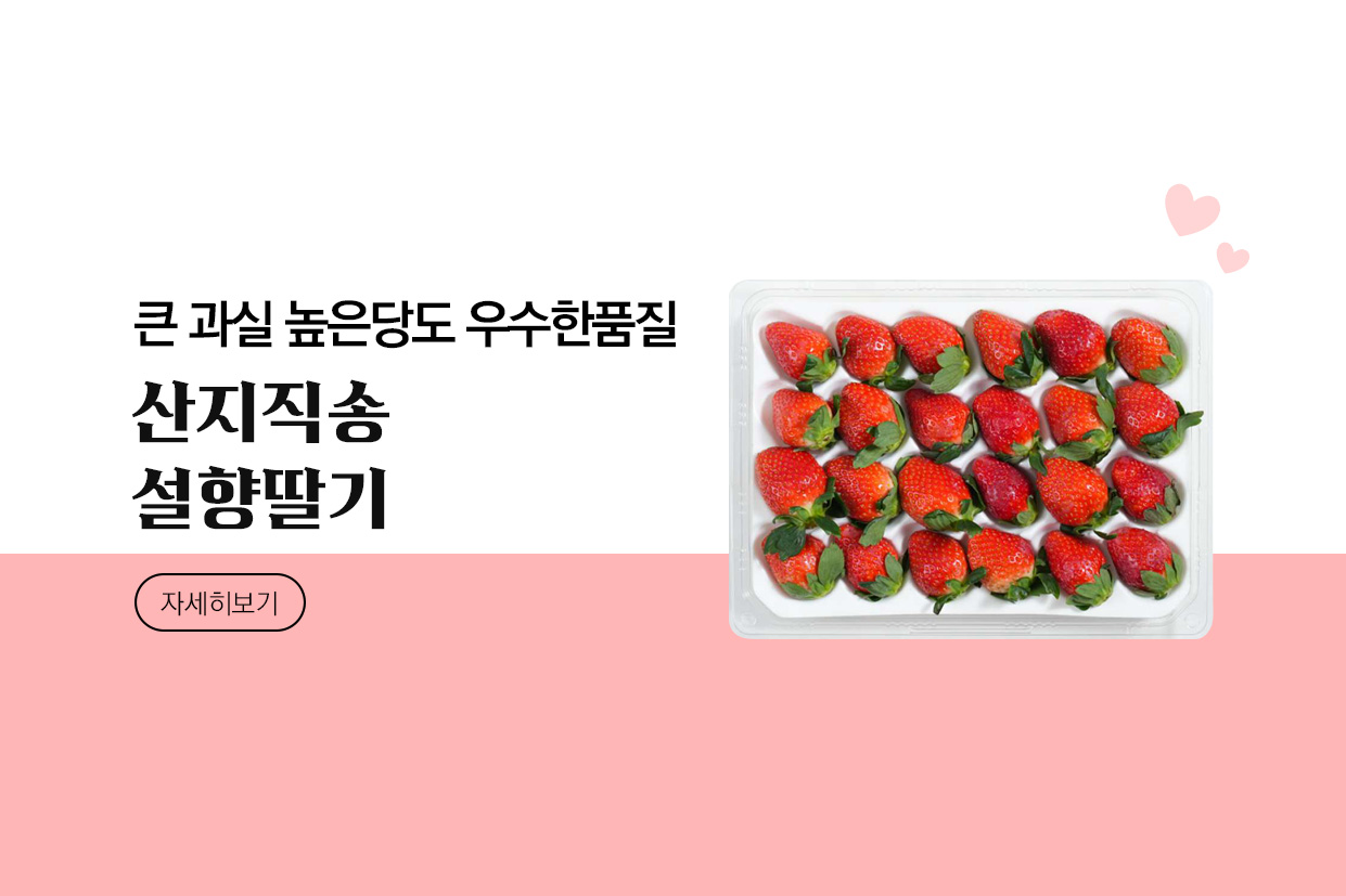 메인비주얼 이미지