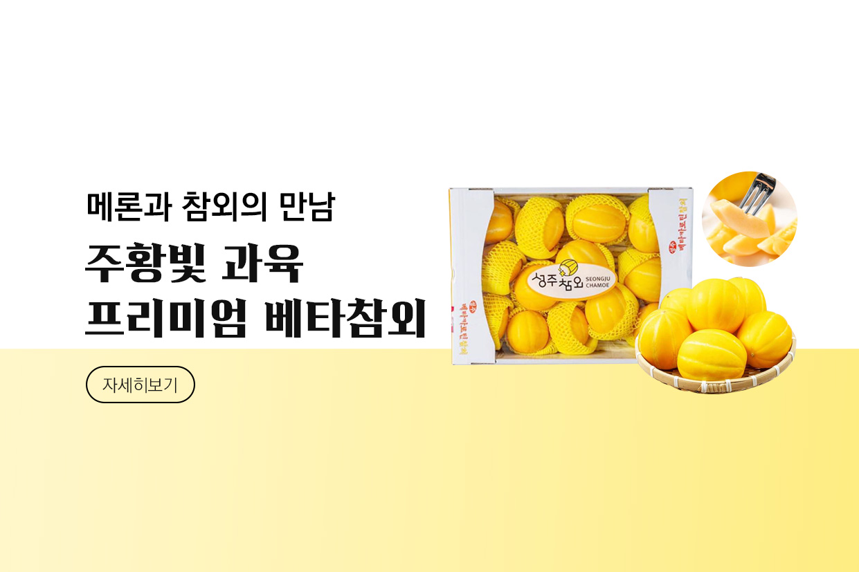 메인비주얼 이미지