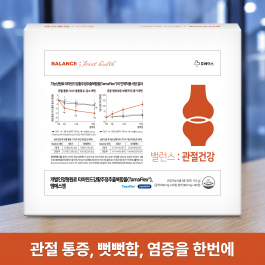 밸런스:관절건강 180T